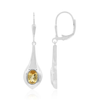 Citrin Ohrringe günstig online kaufen | Juwelo Onlineshop