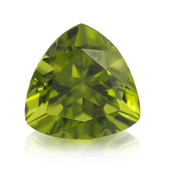 Kaschmir-Peridot-Edelstein 8,52 in Sammler-Box